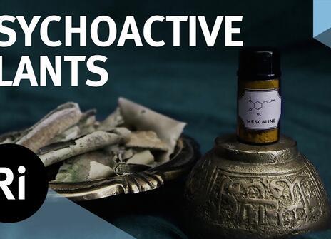 Changing Consciousness with Psychoactive Plants - with Michael Pollan and Jules Evans