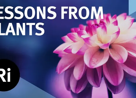 Lessons from Plants - with Beronda Montgomery