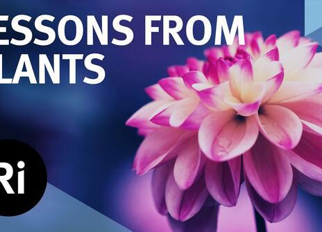 Lessons from Plants - with Beronda Montgomery