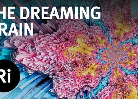 What Do Our Brains Do When We're Dreaming?- with Mark Solms
