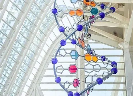 DNA base pairs Art work
