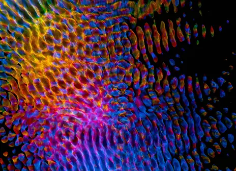Shimmering undulating colours