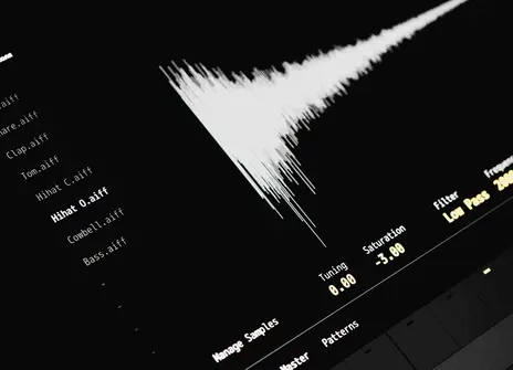 Image of waveform on music software