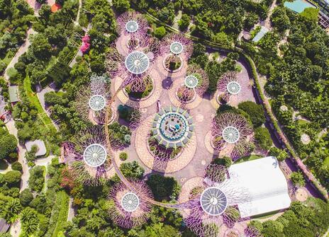 A birds eye view of buildings and nature creating a living city. 