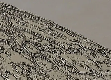 



An illustration of the moon from Chart der Gebirge Des Mondes, 1878.



