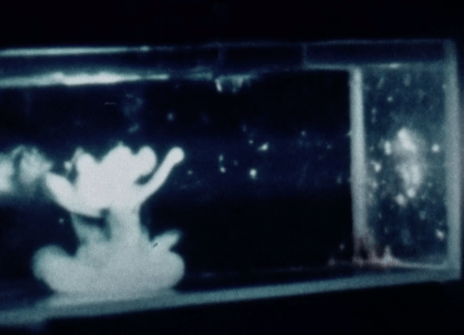 Still from 'Refraction and scattering of light'
