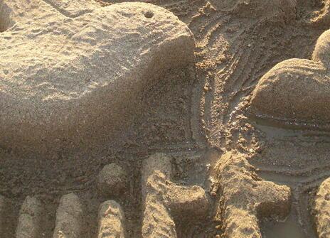 Twitter sand sculpture